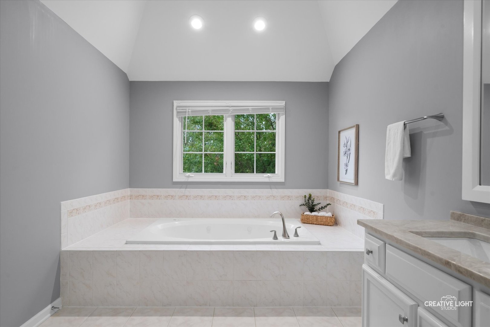 3420 SUNNYSIDE Court, Naperville, IL 60564