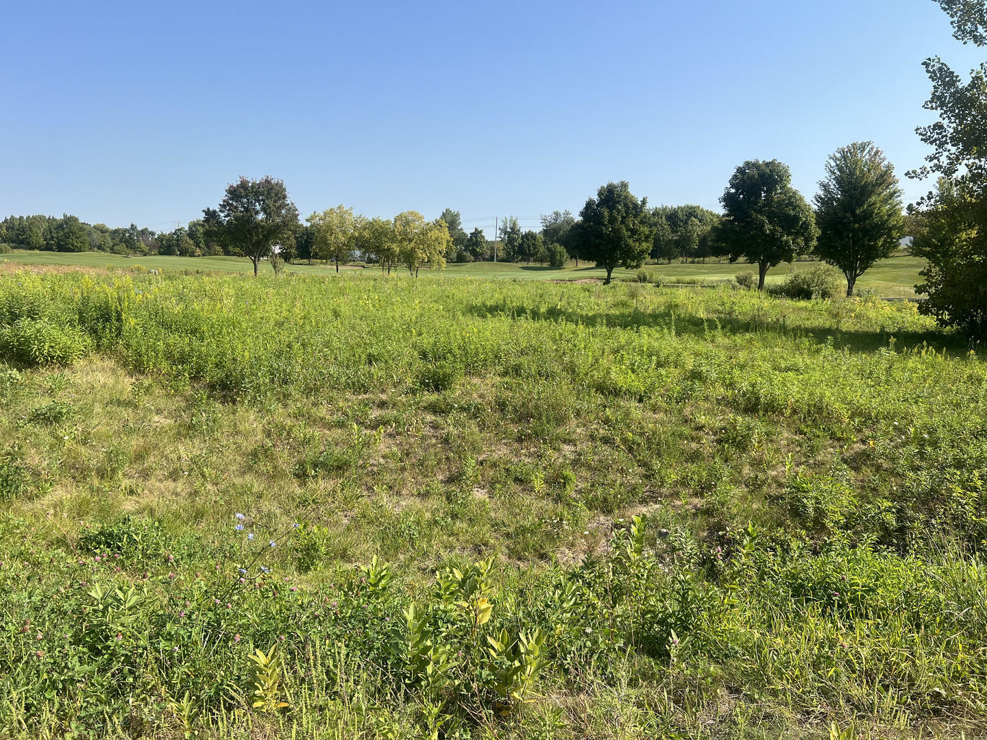 10006 Saint Andrews Drive, Marengo, IL 60152