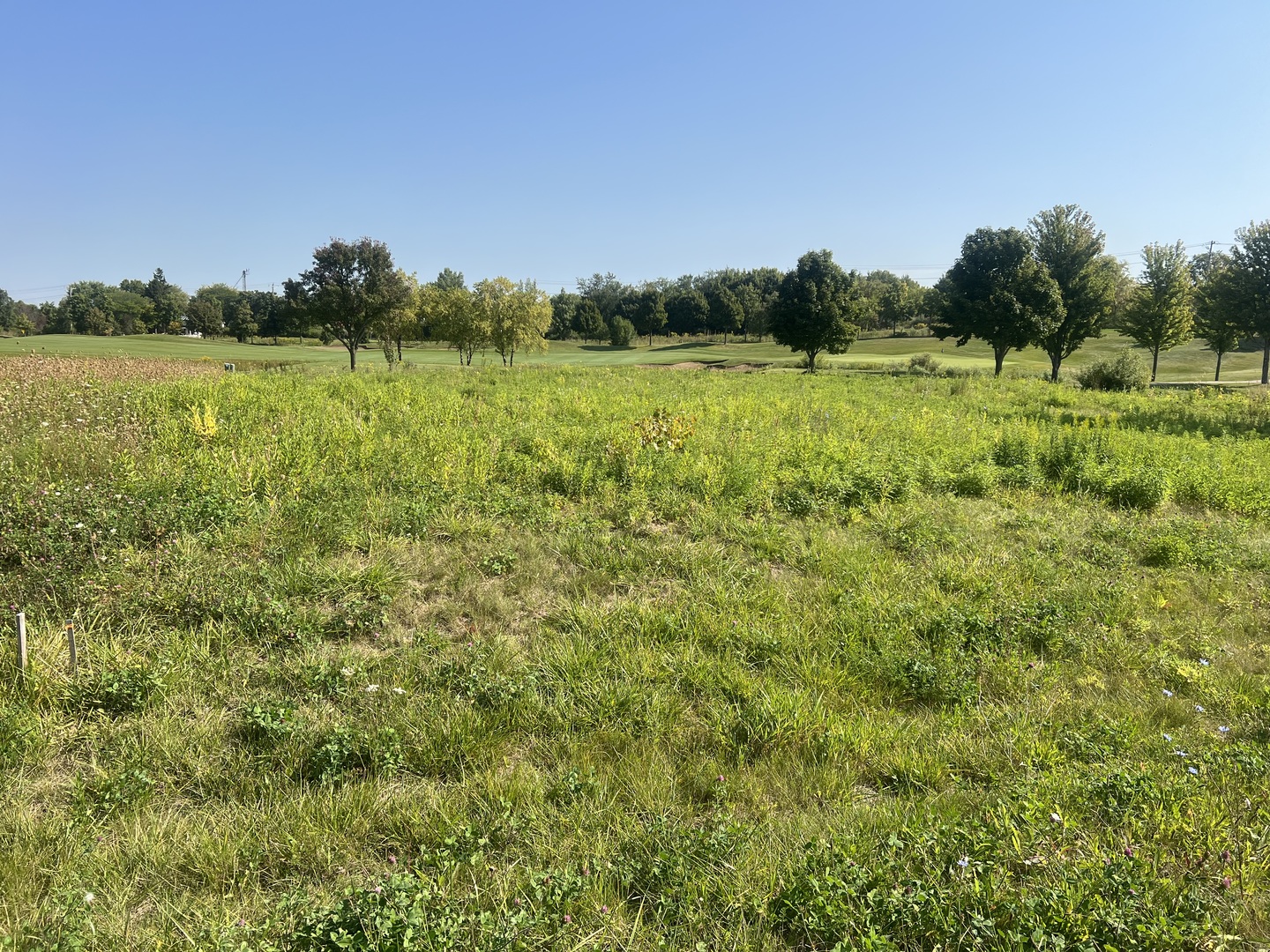 10006 Saint Andrews Drive, Marengo, IL 60152