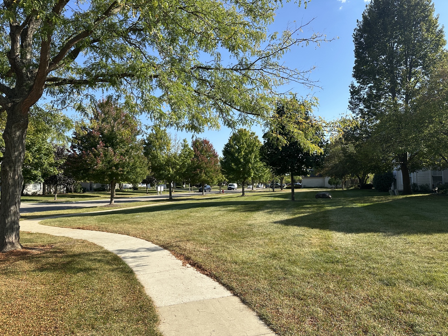 3503 Blue Ridge Court #3503, Carpentersville, IL 60110