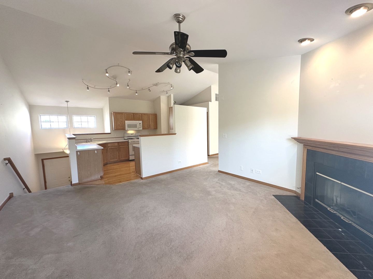 3503 Blue Ridge Court #3503, Carpentersville, IL 60110