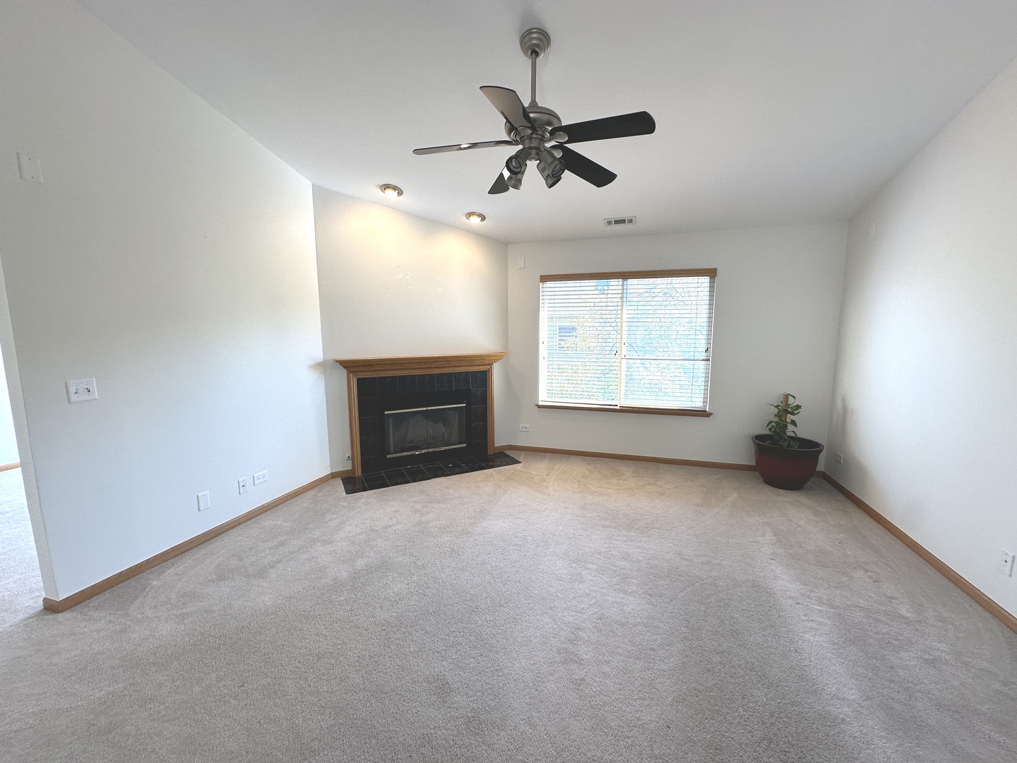 3503 Blue Ridge Court #3503, Carpentersville, IL 60110