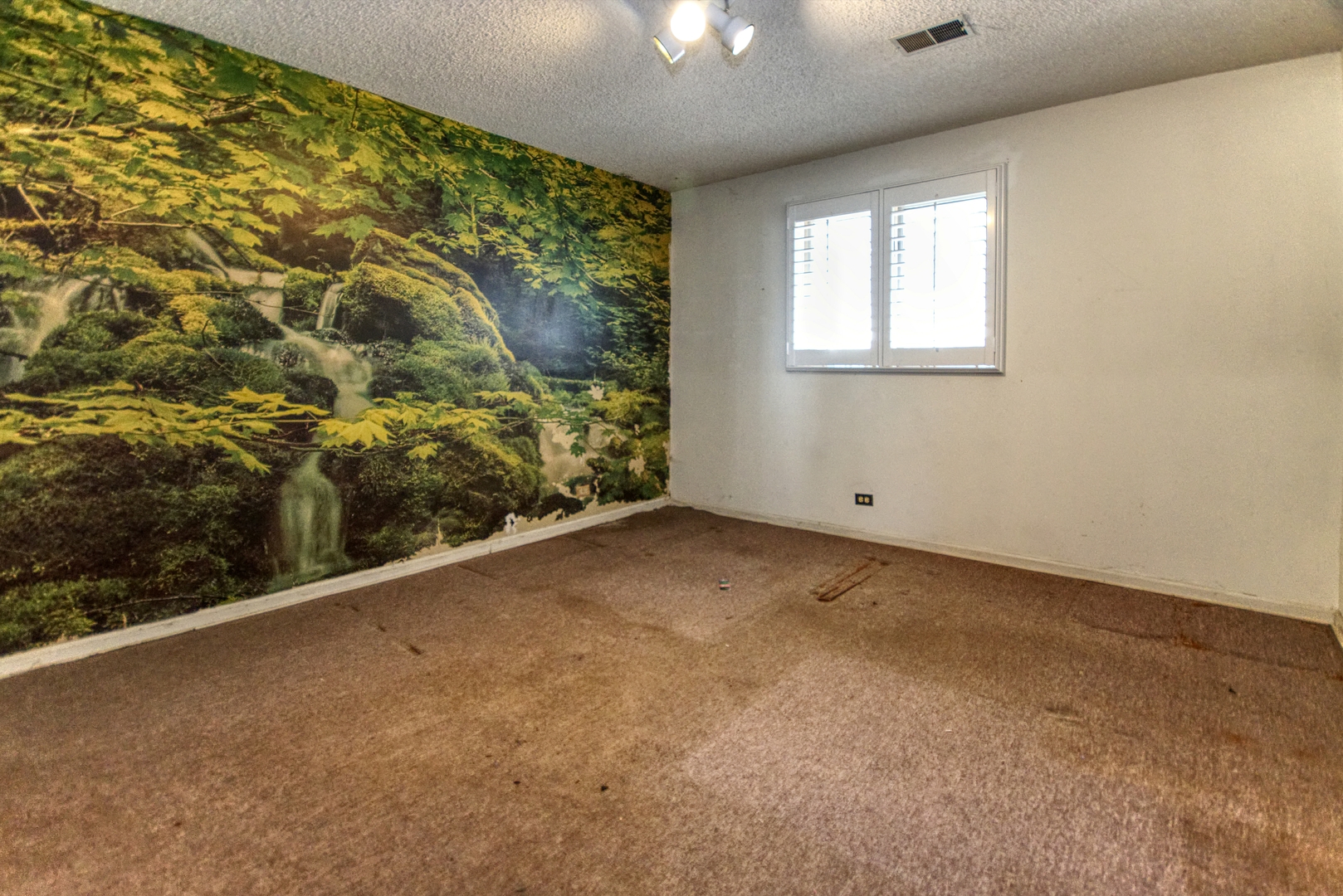 13444 W Navaho Trail, Homer Glen, IL 60491