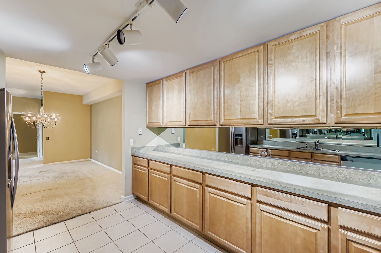 100 W Roosevelt Avenue #201, Bensenville, IL 60106