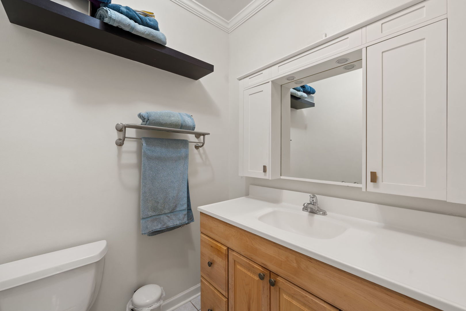 1028 W 20th Place #1, Chicago, IL 60608