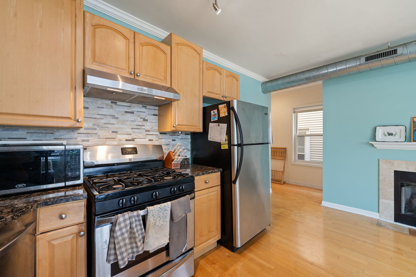 1028 W 20th Place #1, Chicago, IL 60608