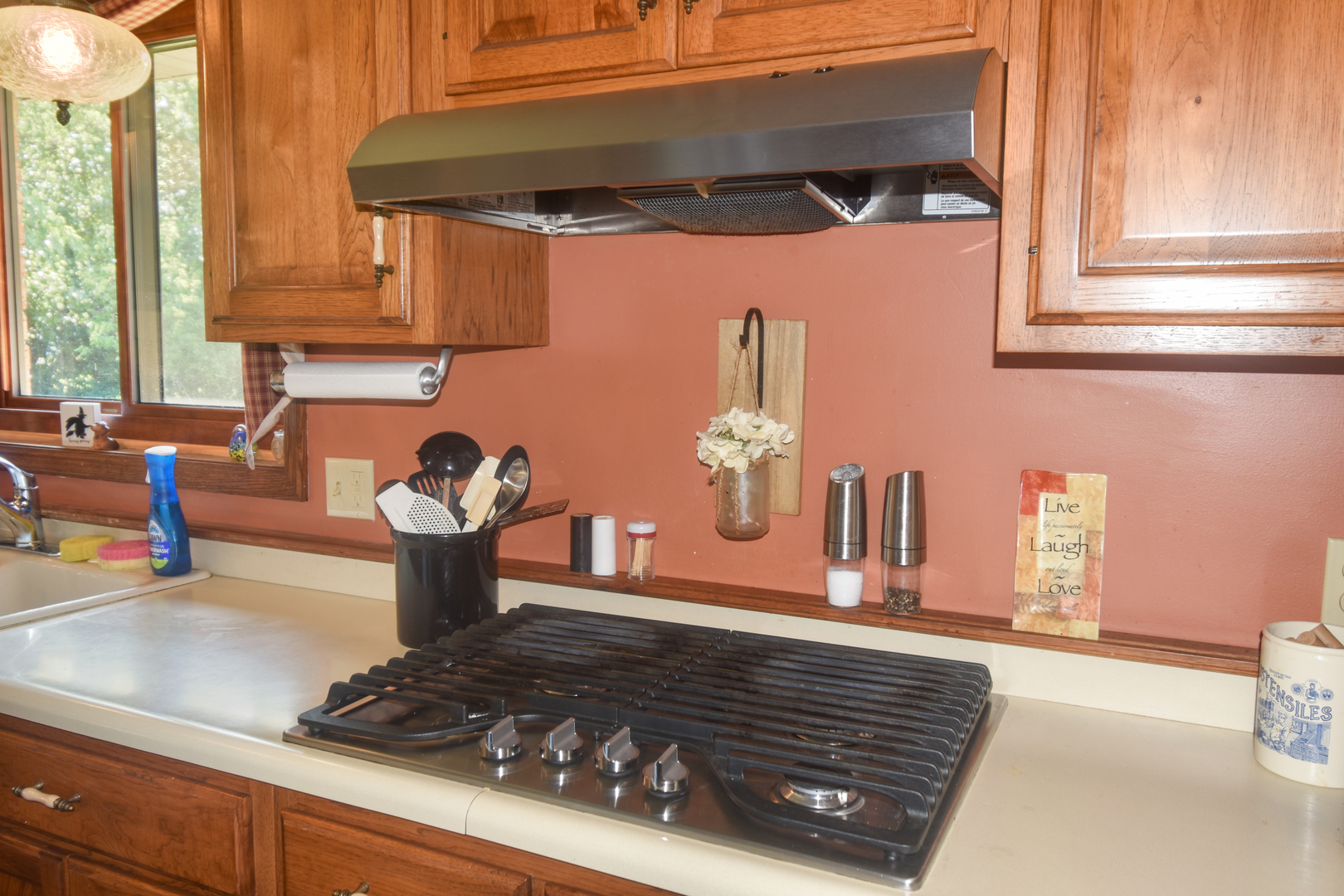 1304 W Reynolds Street, Pontiac, IL 61764