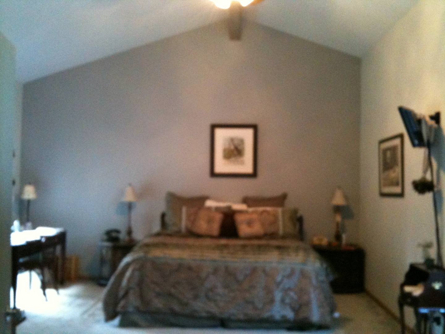 1421 Kirkwall Court, Inverness, IL 60010