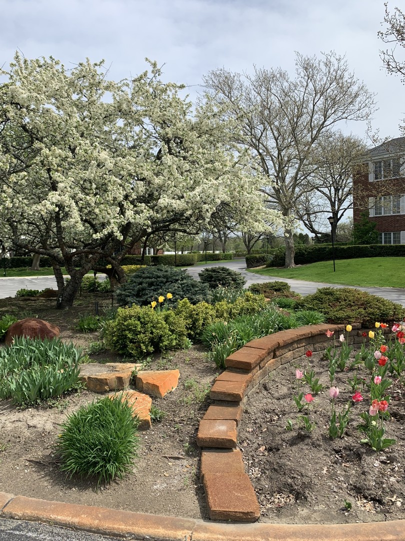 3415 Vollmer Road #308, Flossmoor, IL 60422