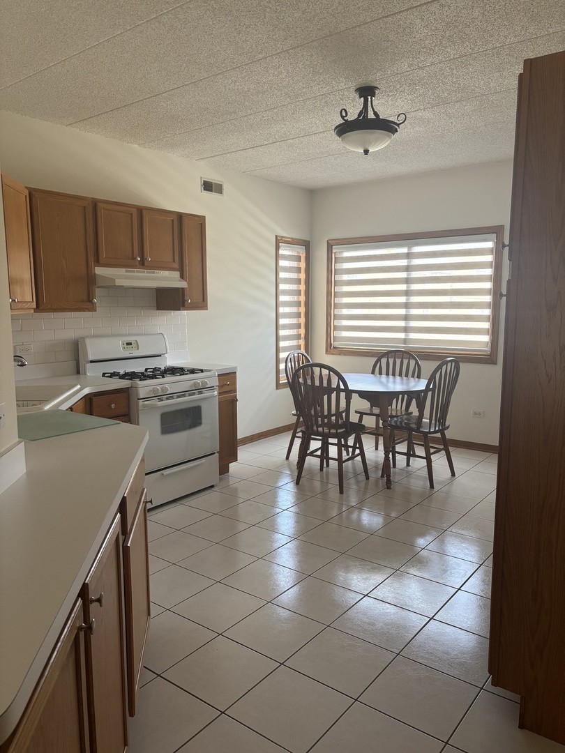 9439 S 79th Avenue #202, Hickory Hills, IL 60457