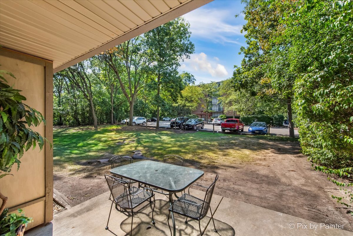 5820 Oakwood Drive #1a, Lisle, IL 60532