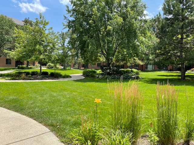 875 E. 22nd Street #220, Lombard, IL 60148