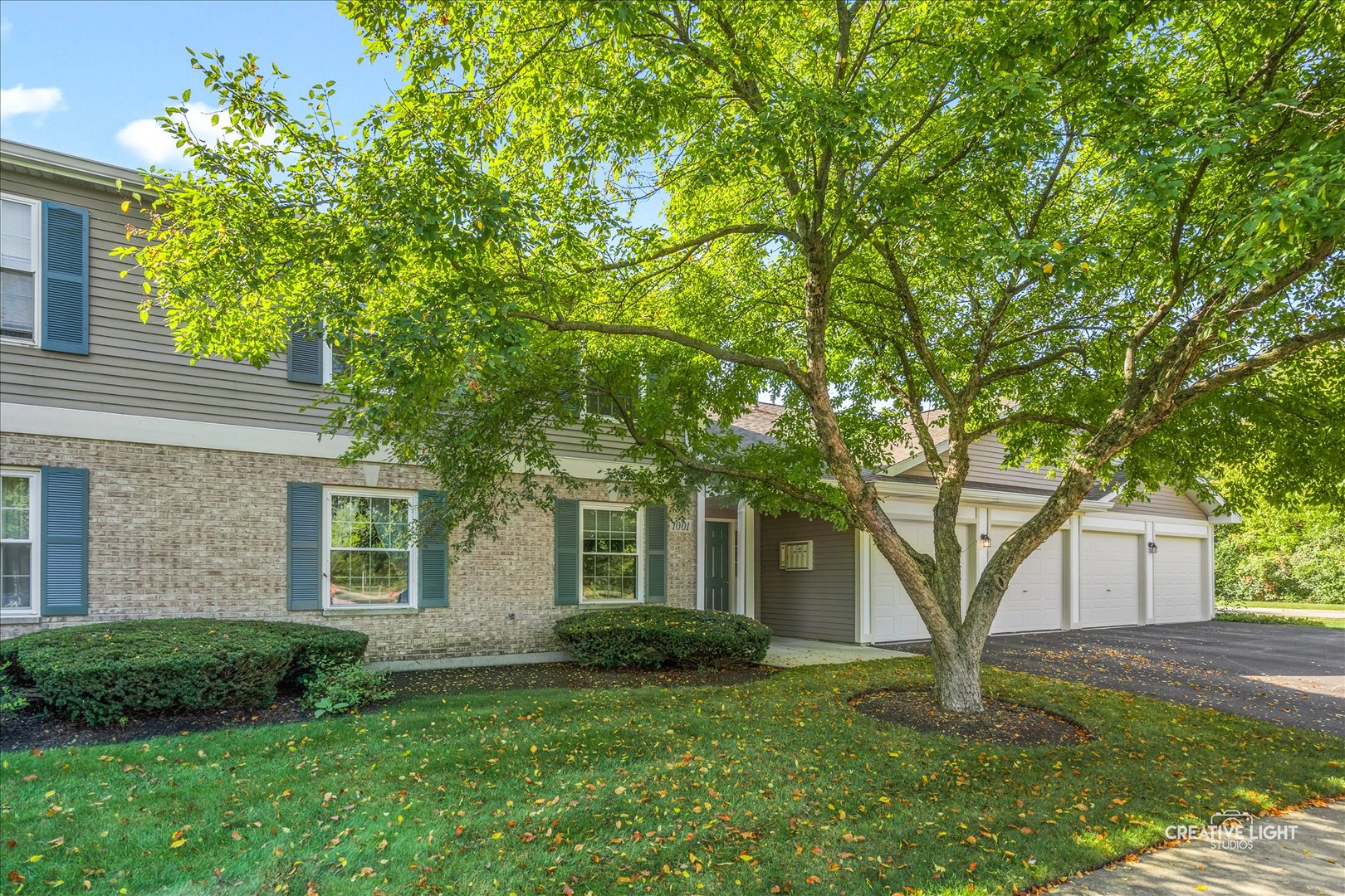 1001 Radclyffe Court #C, Elgin, IL 60120