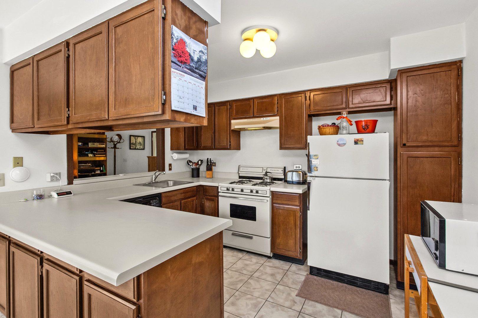 1771 Vermont Drive, Elk Grove Village, IL 60007