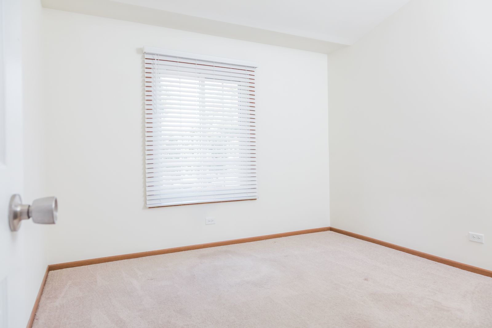 1515 MERCURY Drive #4, Schaumburg, IL 60193