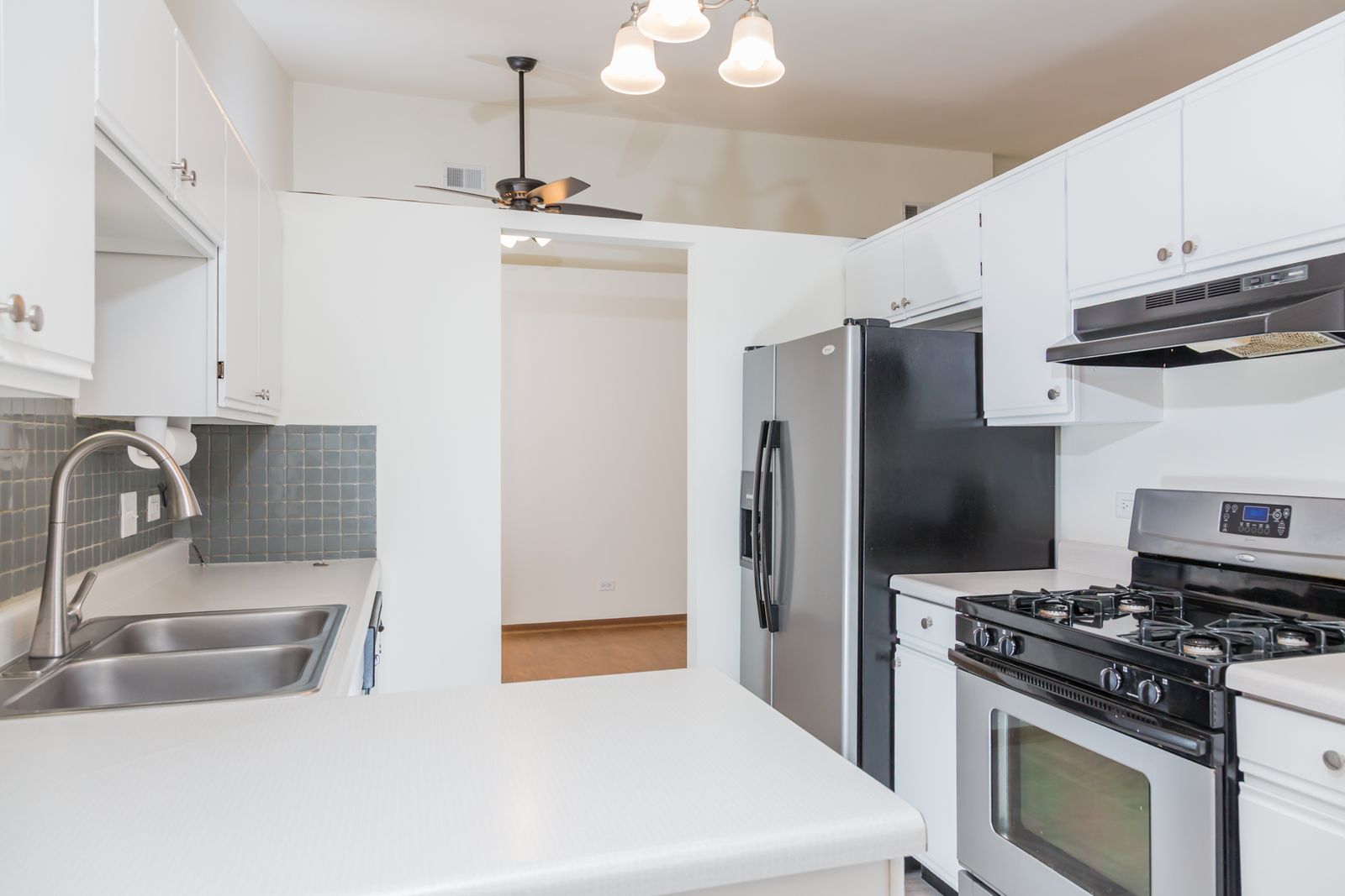 1515 MERCURY Drive #4, Schaumburg, IL 60193