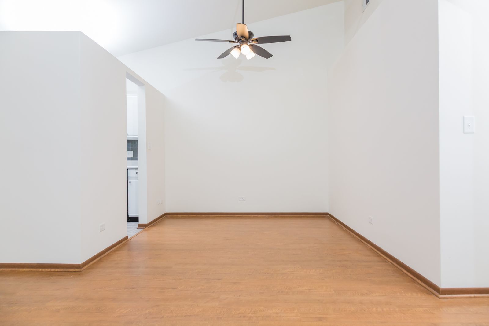 1515 MERCURY Drive #4, Schaumburg, IL 60193