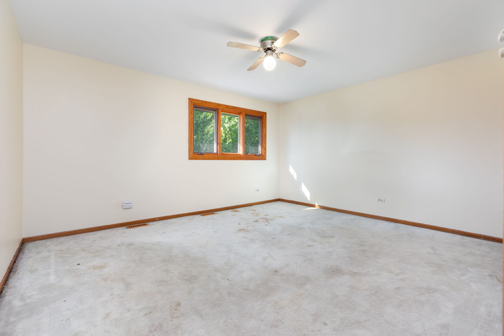 13226 Farm View Street, Homer Glen, IL 60491