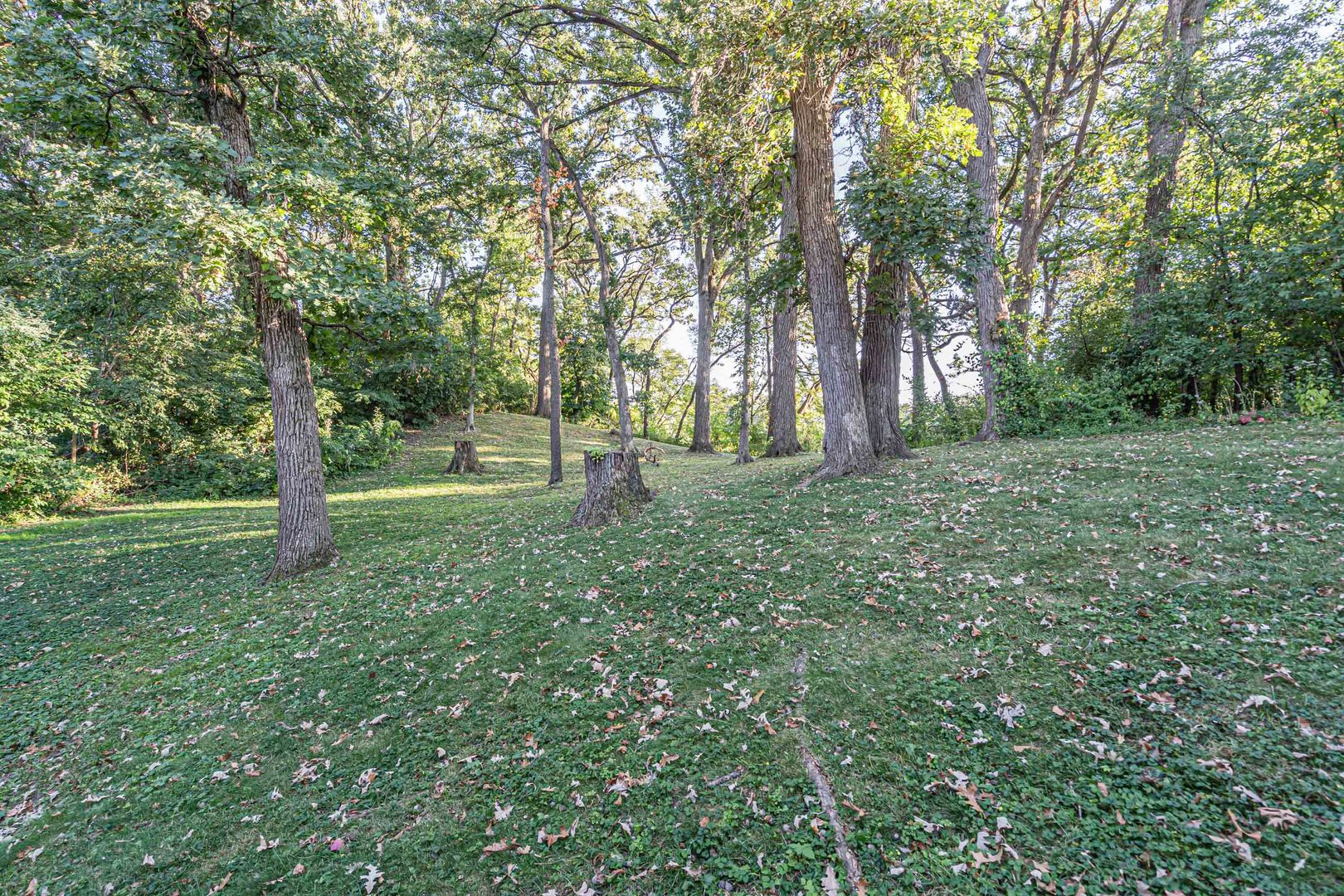 17 Baybrook Lane, Oak Brook, IL 60523