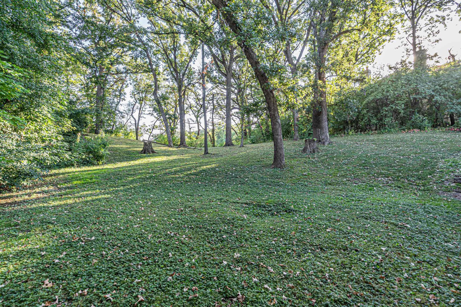 17 Baybrook Lane, Oak Brook, IL 60523
