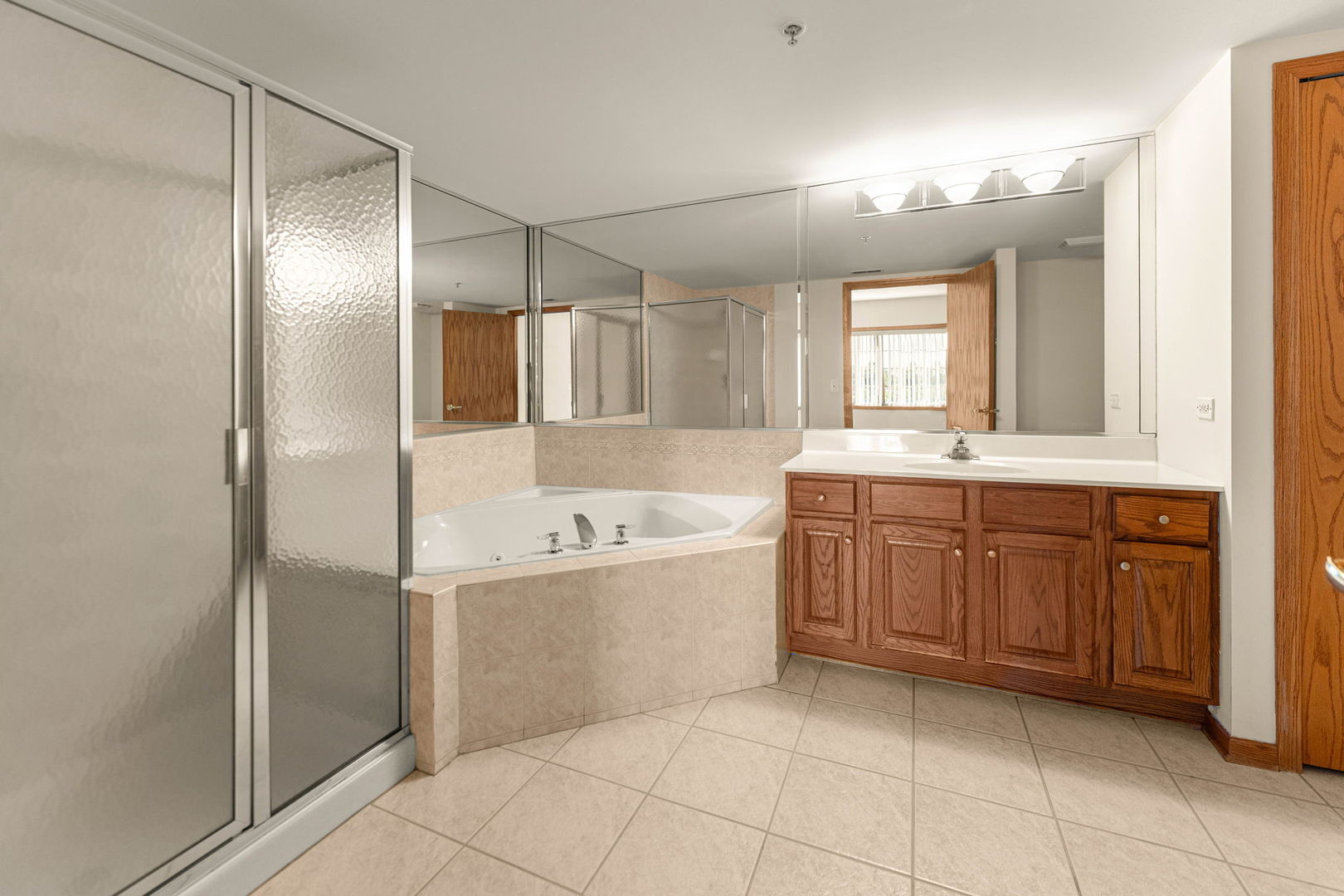 11901 Windemere Court #301, Orland Park, IL 60467