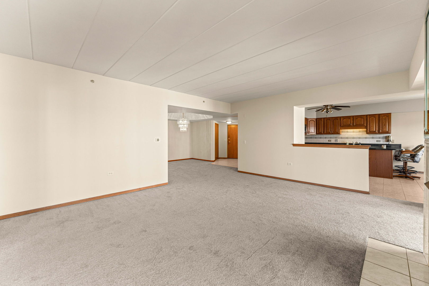 11901 Windemere Court #301, Orland Park, IL 60467