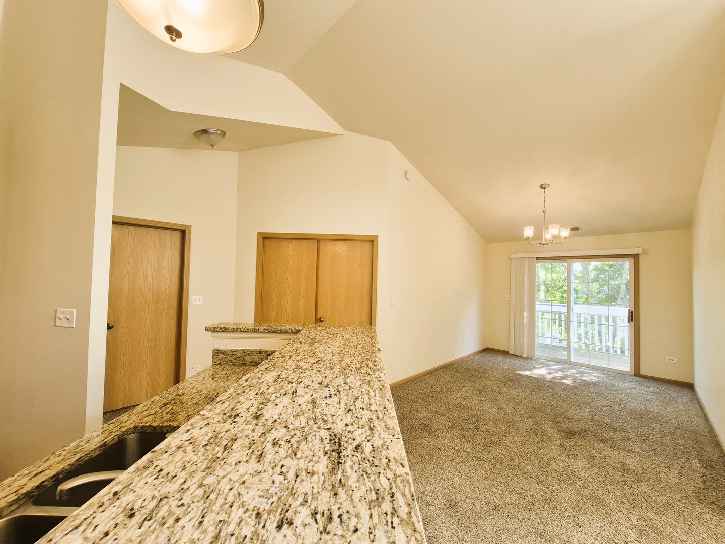 2219 Waterleaf Court #203, Naperville, IL 60564