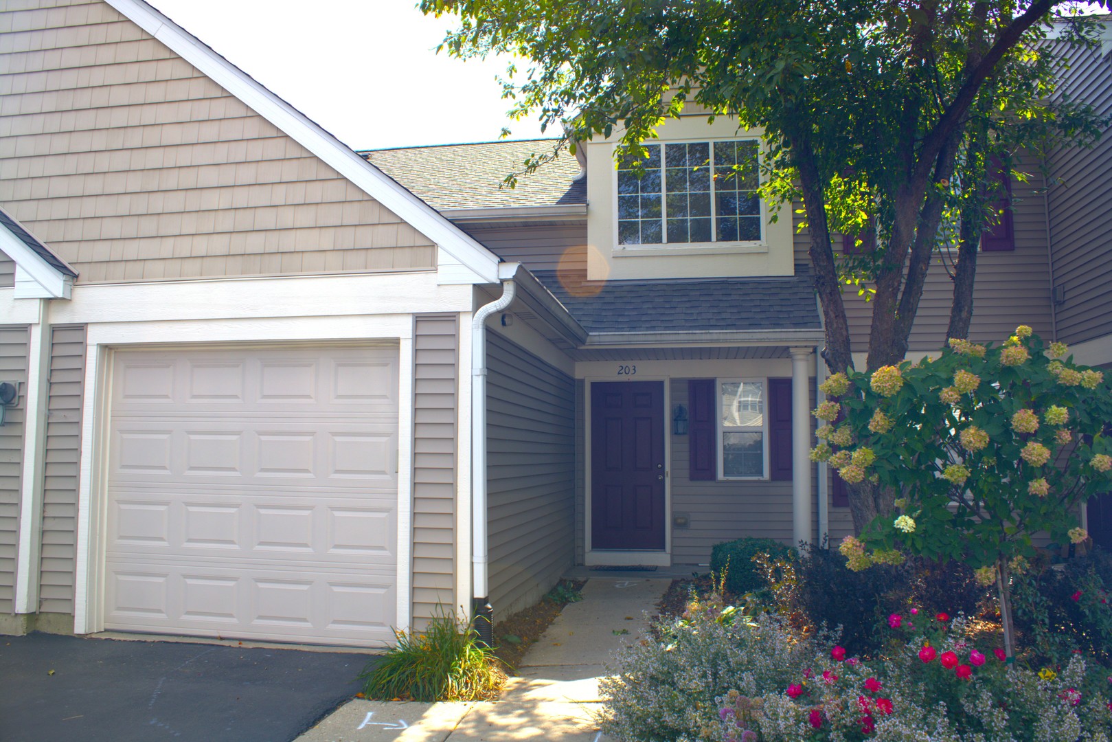 2219 Waterleaf Court #203, Naperville, IL 60564