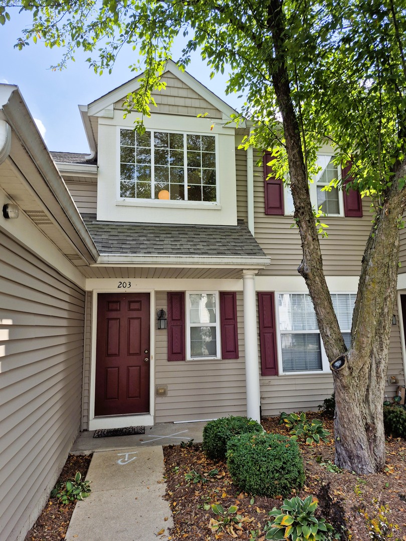 2219 Waterleaf Court #203, Naperville, IL 60564