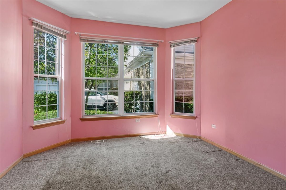 20928 W Spruce Lane, Plainfield, IL 60544