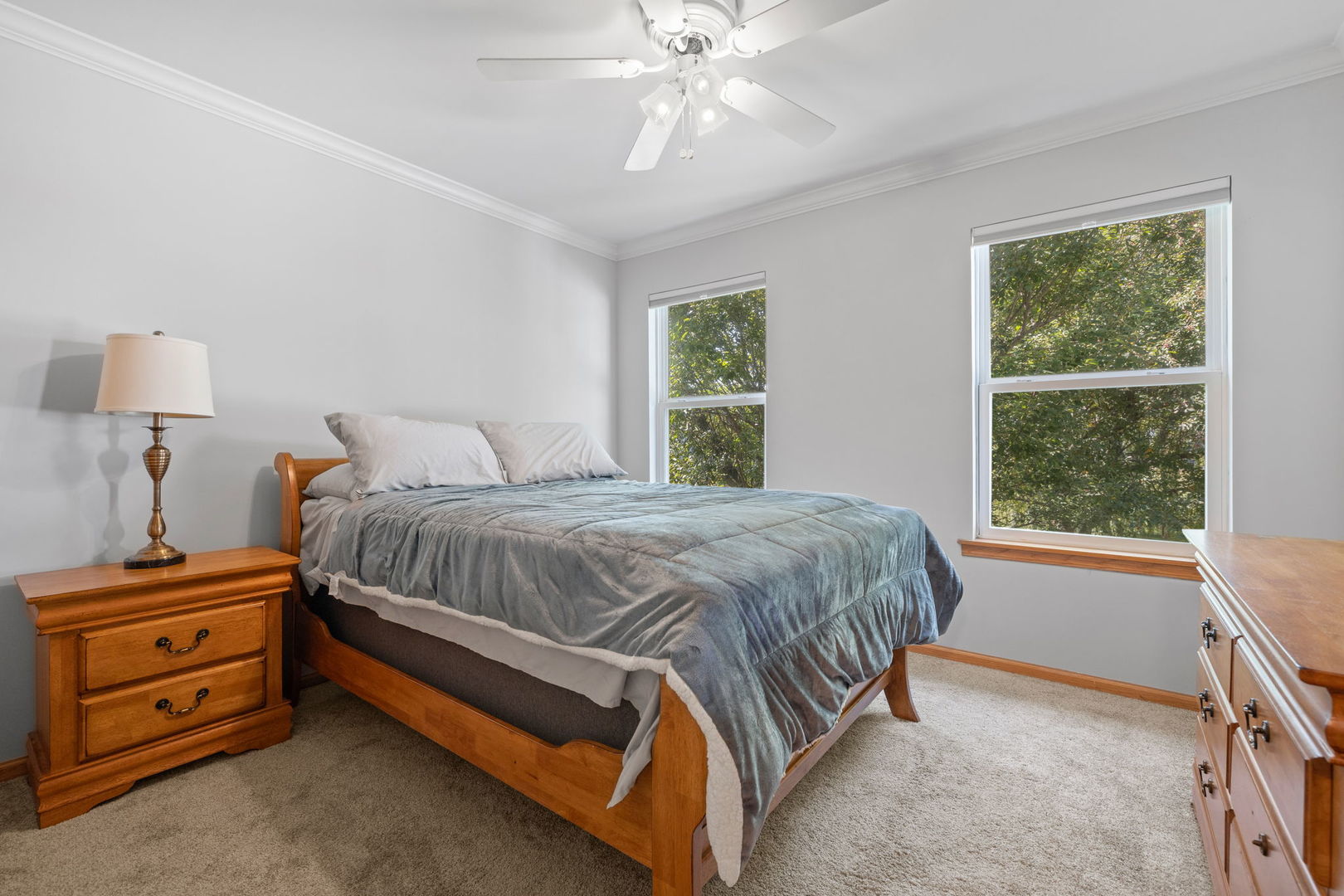 709 Young Drive, New Lenox, IL 60451
