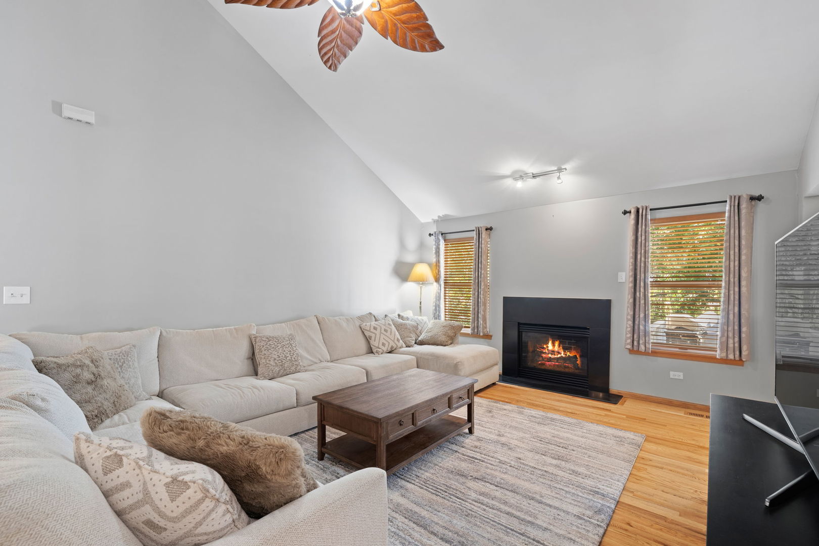 709 Young Drive, New Lenox, IL 60451