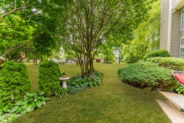 141 crescent Lane #141, Schaumburg, IL 60193