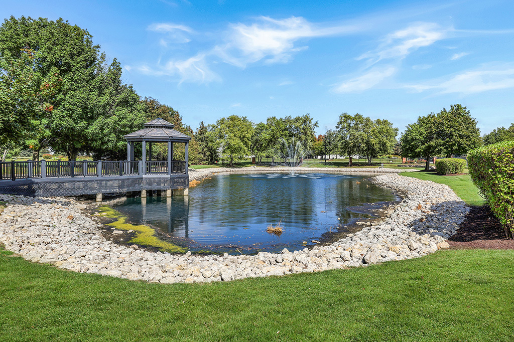 1632 Fieldstone Drive, Shorewood, IL 60404