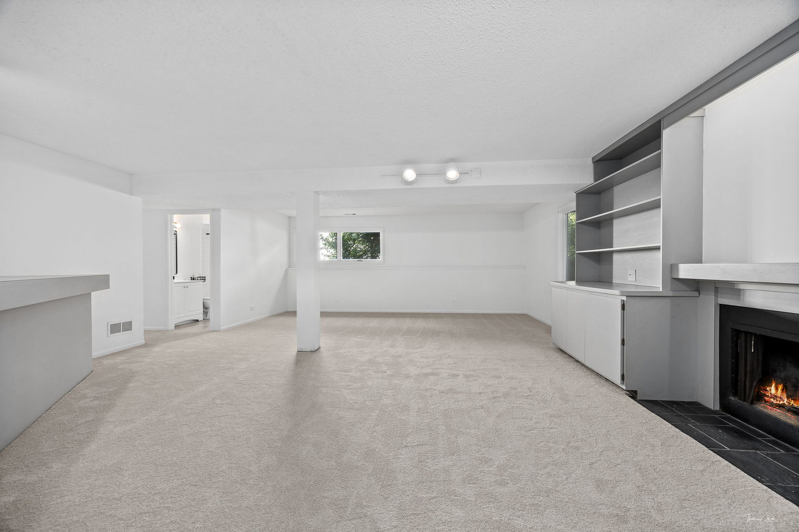 1856 Carriage Hill Road, Lisle, IL 60532