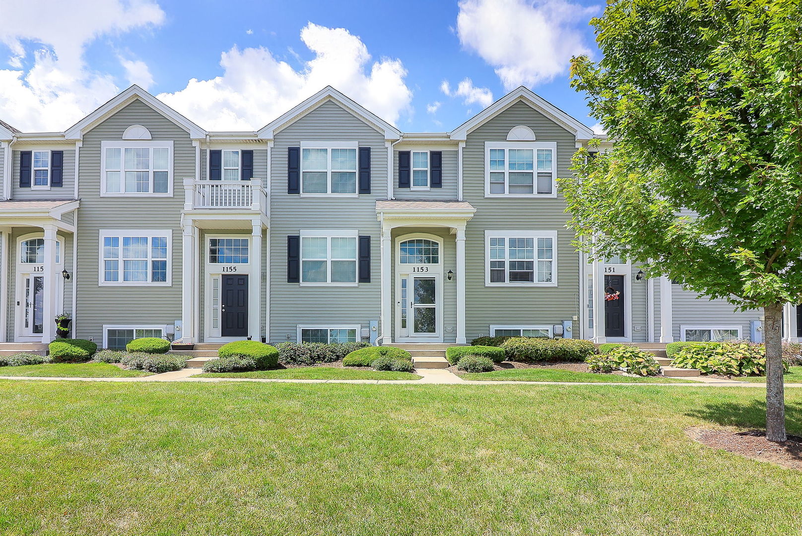 1153 Piccolo Lane, Volo, IL 60073