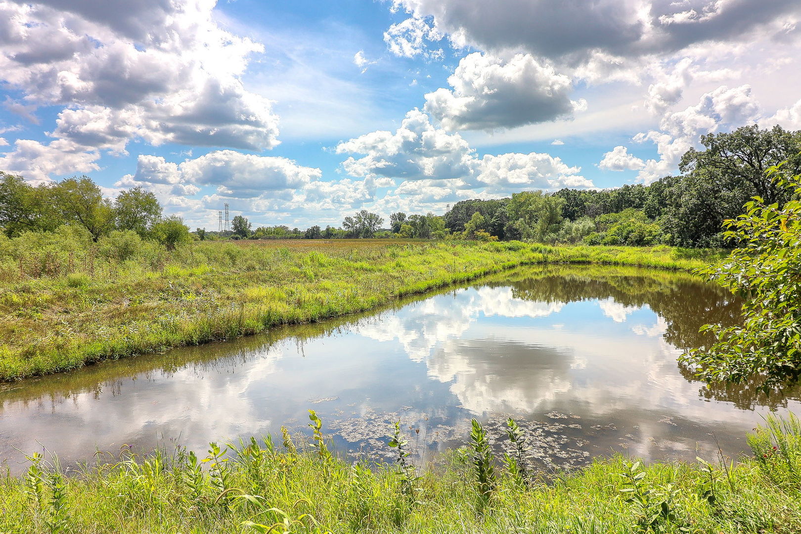 1153 Piccolo Lane, Volo, IL 60073