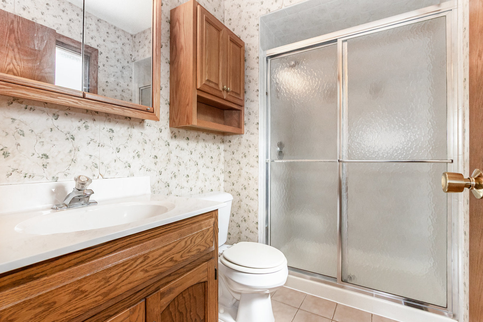 13910 Green Valley Drive, Orland Park, IL 60467