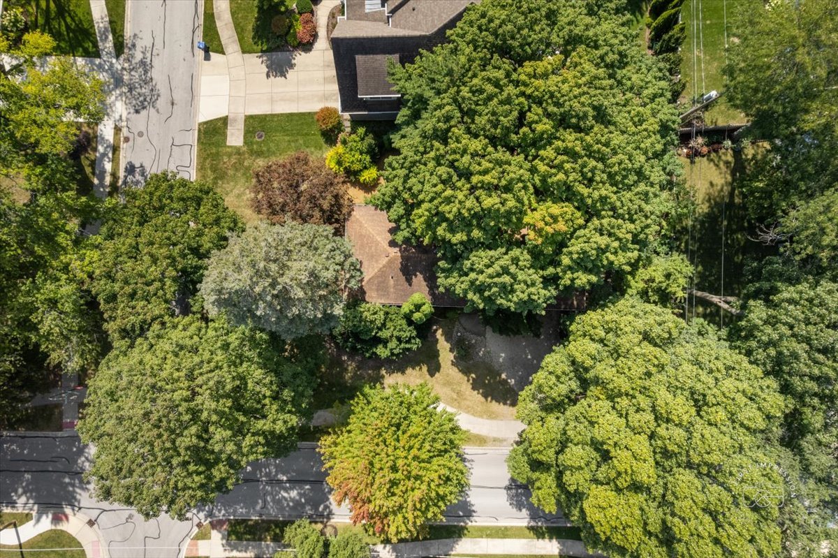710 W Benton Avenue, Naperville, IL 60540