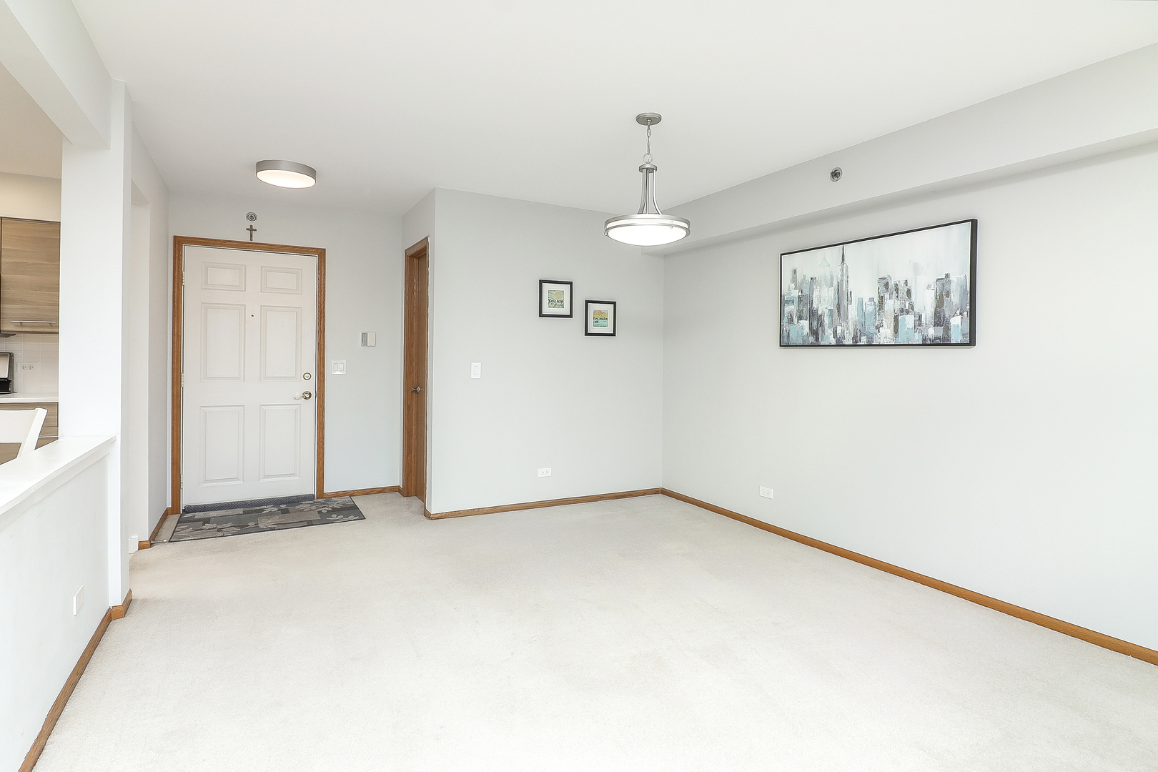 5 S Pine Street #507B, Mount Prospect, IL 60056