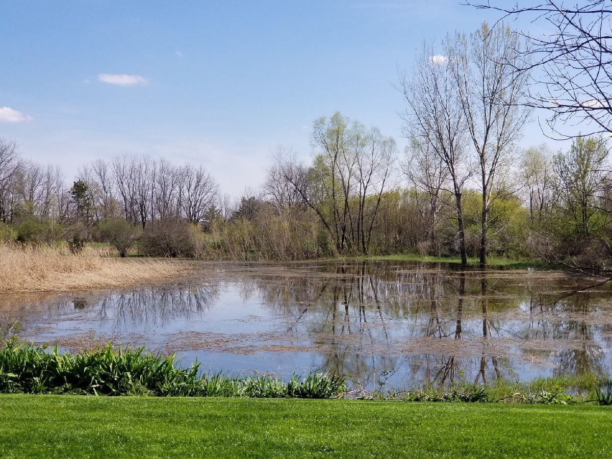 1088 N Claremont Drive #0, Palatine, IL 60074