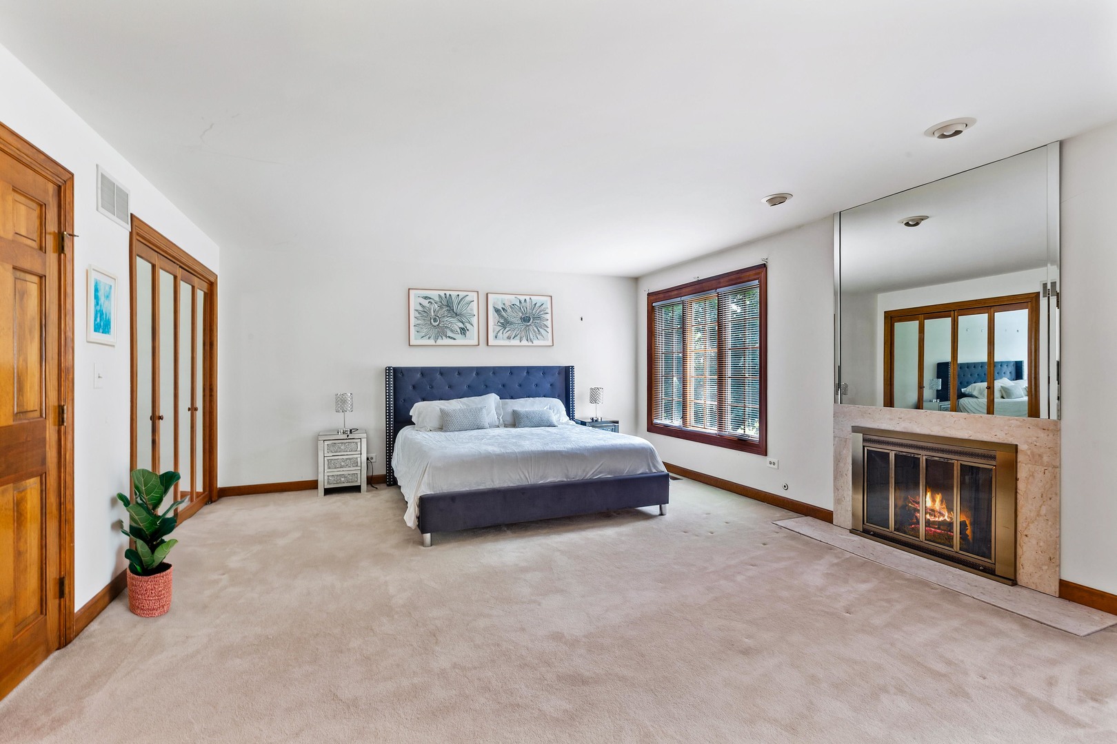 15555 W Janas Drive, Homer Glen, IL 60491