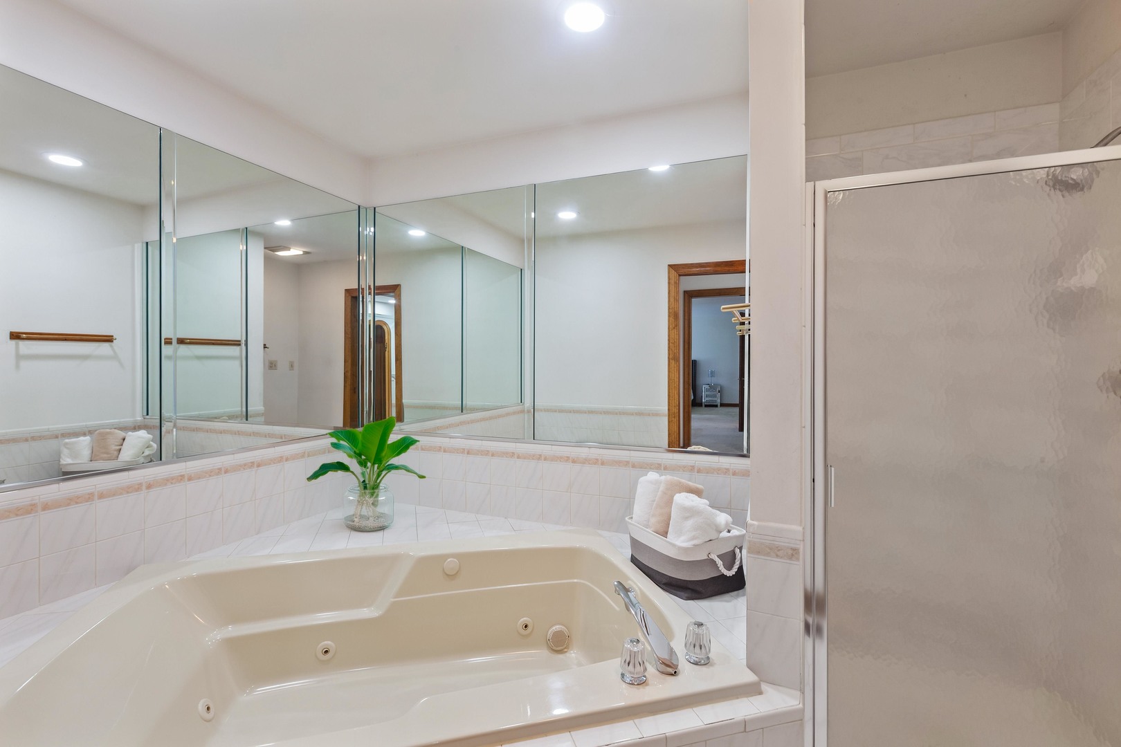 15555 W Janas Drive, Homer Glen, IL 60491