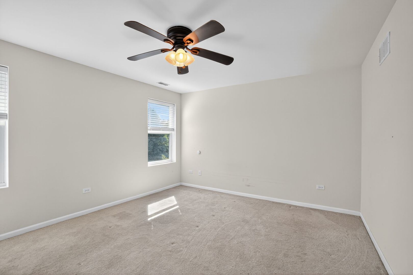 232 Julep Avenue, Oswego, IL 60543