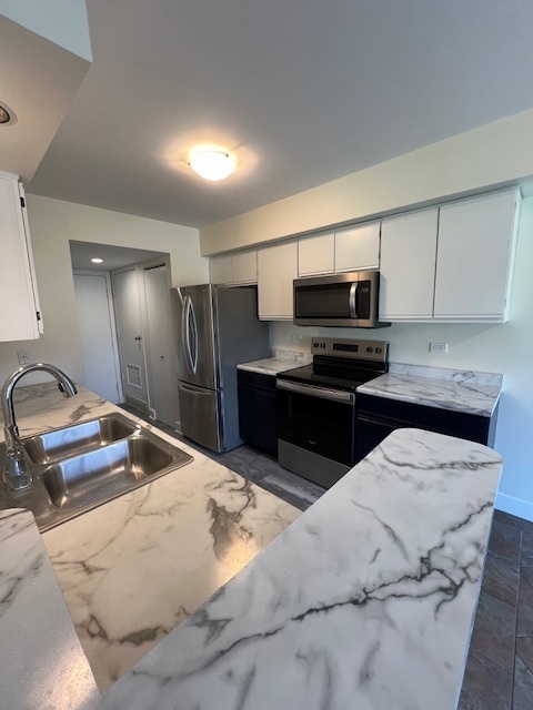 1226 N Knollwood Drive, Palatine, IL 60067