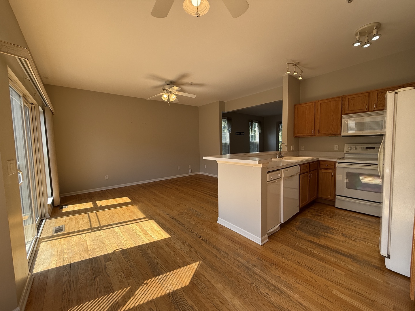 1315 Chestnut Lane, Yorkville, IL 60560