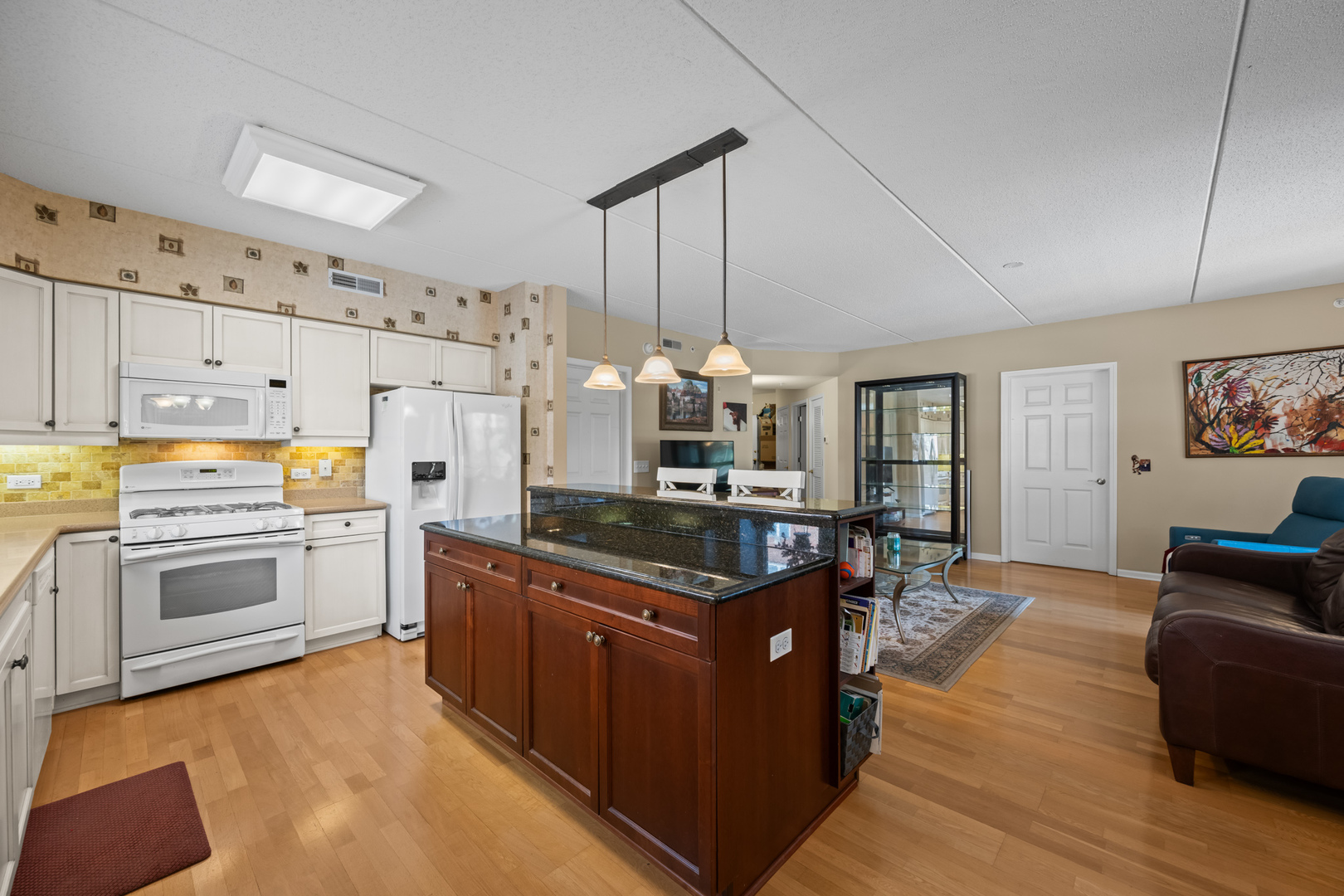 395 Graceland Avenue #207, Des Plaines, IL 60016