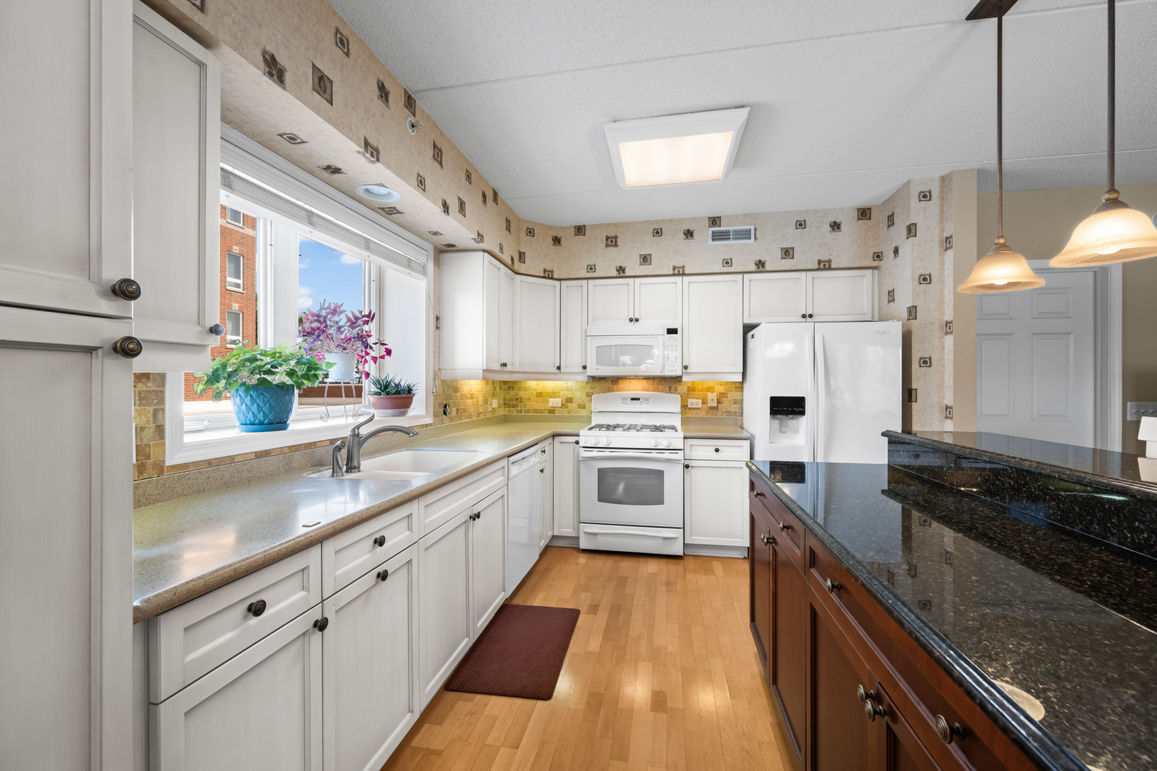 395 Graceland Avenue #207, Des Plaines, IL 60016