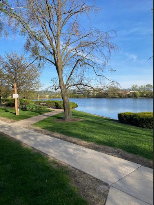 6186 Pinewood Court #102, Willowbrook, IL 60527