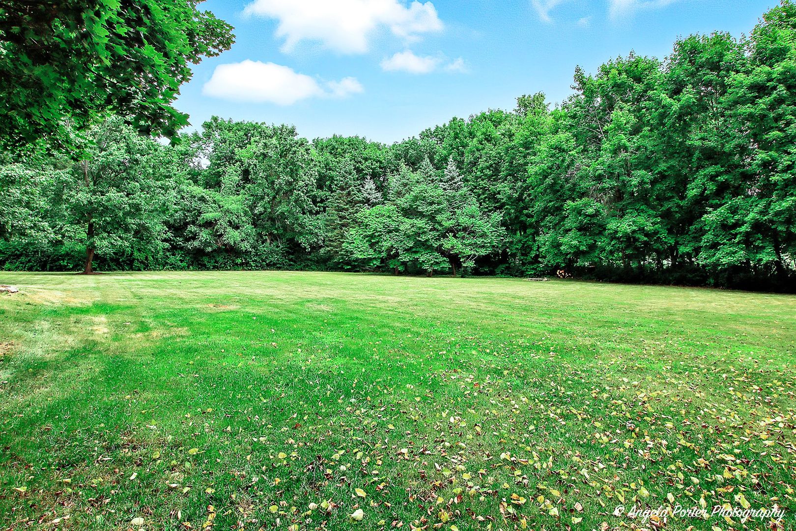 40491 N Goldenrod Lane, Wadsworth, IL 60083